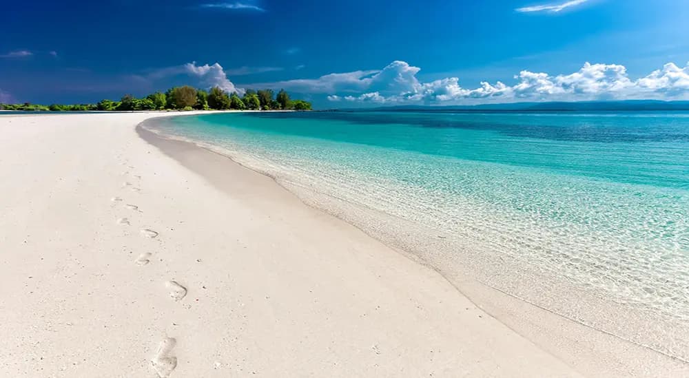 Photo of beach.